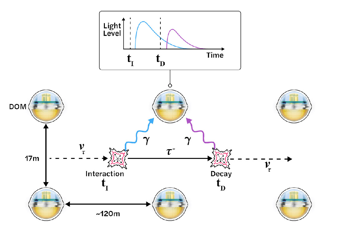 La forma de onda de doble pulso que indica que los DOM han detectado neutrinos tau.