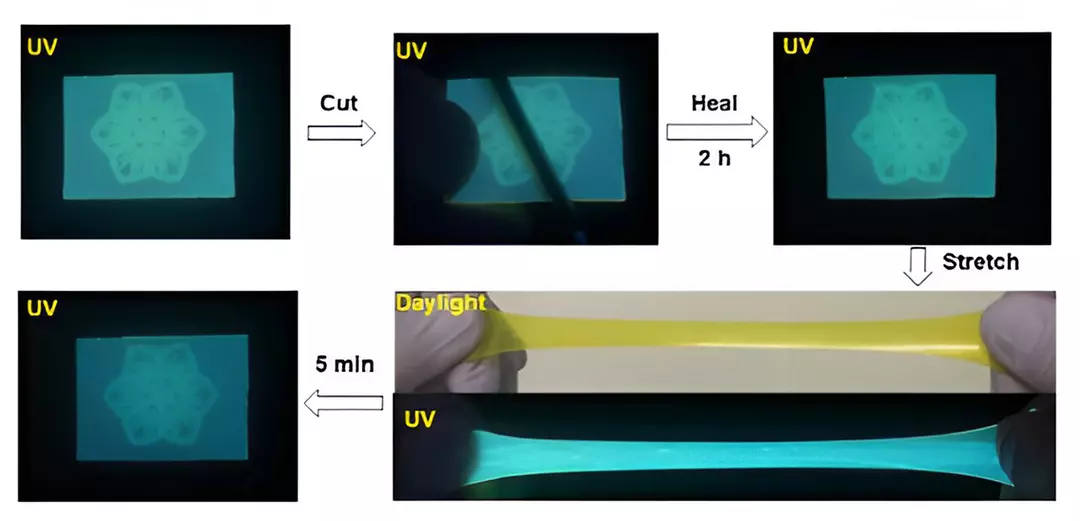 Propiedad de fluorescencia y autocuración de la película de terpolímero
