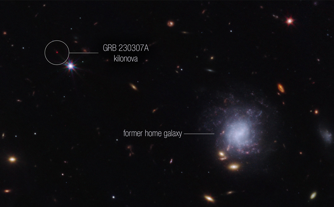 Entre su entorno local de otras galaxias y estrellas en primer plano, esta imagen del instrumento NIRCam (cámara de infrarrojo cercano) del telescopio espacial James Webb de la NASA destaca la explosión de rayos gamma (GRB) 230307A y su kilonova asociada, así como su antigua galaxia natal. La fusión de dos estrellas de neutrones probablemente causó el GRB. Las estrellas de neutrones fueron expulsadas de su galaxia de origen y viajaron una distancia de aproximadamente 120.000 años luz, aproximadamente el diámetro de la Vía Láctea, antes de fusionarse finalmente varios cientos de millones de años después.